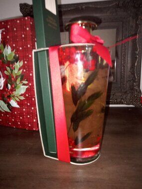 Vanilla Evergreen Fragrance Diffuser chalice and wicks.